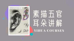 素描五官-耳朵