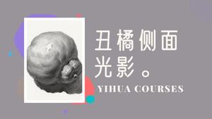 丑橘素描光影侧卧