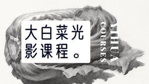 大白菜素描光影