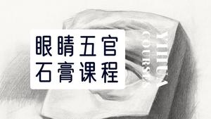 五官眼睛石膏素描