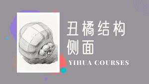 丑橘素描结构侧卧