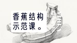 香蕉结构素描